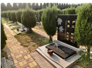安陽(yáng)公墓殷商皇陵陵園呼吁大家文明祭掃